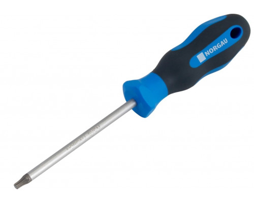Отвертка TX Norgau T25x100 с torx профилем 061137225