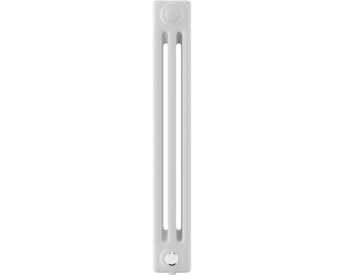 Радиатор отопления ROYAL THERMO VC3050-30 секц. RAL9016 INSIGNIA НС-1631244