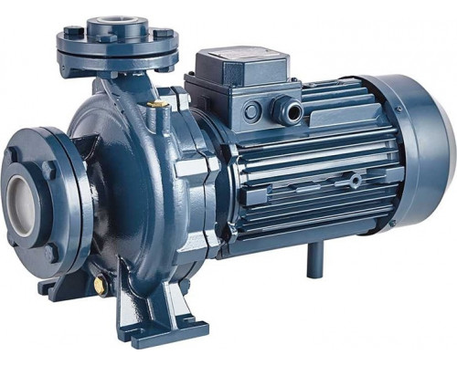 Моноблочный насос PURITY PSTC 50-250/150 100588217