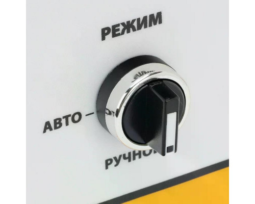 Блок автоматики Denzel PS-180TS 946716