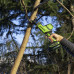 Пила сабельная аккумуляторная GREENWORKS GPT-CRS-25 24V, АКБ 2Ач и ЗУ 1200507CUA