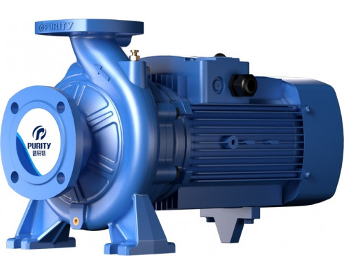 Моноблочный насос PURITY PSTG 65-200/150