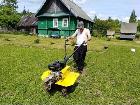 Культиватор - верный конь на грядках