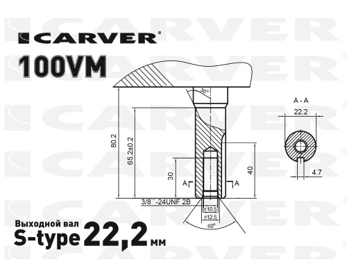 Двигатель CARVER 100VМ