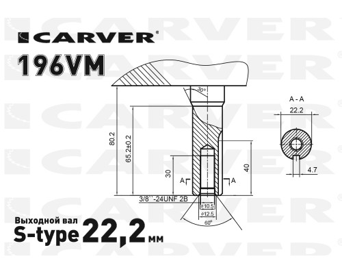 Двигатель CARVER 196VМ