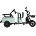 Трицикл WANSHIDA LC-F150 зеленый-3078 025555-3078 купить с доставкой и официальной гарантией