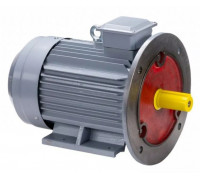 Электродвигатель ESQ PR 100 L2 GST-Б1-S12-IE2 IM 2081 5.5/3000 01.01.223752