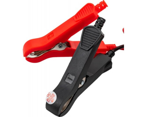 Зарядное устройство RUTRIKE 12V2-100AН для свинцовых тяговых аккумуляторов 023187