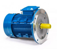 Электродвигатель 5Аи 100 L4 4/1500 IM 3081 01.01.213682