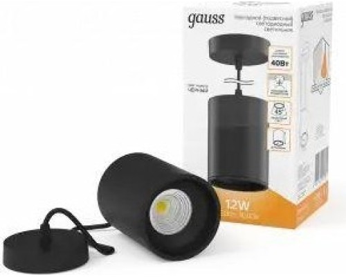 Потолочный светодиодный светильник GAUSS HD038 overhead подвес цил12w 660lm 3000k Потолочный светодиодный светильник GAUSS HD038 overhead подвес цил12w 660lm 3000k