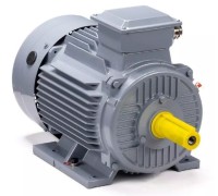 Электродвигатель ESQ PR 100 S2 GST-Б1-S12-IE2 IM 1081 4/3000 01.01.223756