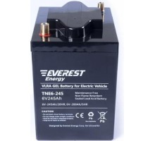 Аккумуляторная батарея EVEREST Energy TNE 6-270