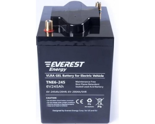 Аккумуляторная батарея EVEREST Energy TNE 6-270