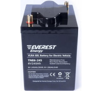 Аккумуляторная батарея EVEREST Energy TNE 6-270