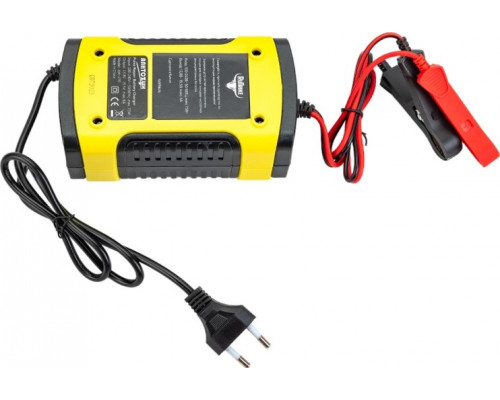 Зарядное устройство RUTRIKE 12V2-100AН для свинцовых тяговых аккумуляторов 023187