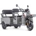 Трицикл WANSHIDA LC-F200 серый-3082 025558-3082 купить с доставкой и официальной гарантией