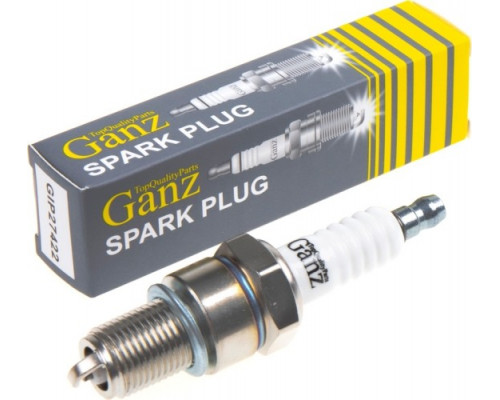 Свеча зажигания GANZ GIP27422 для Opel