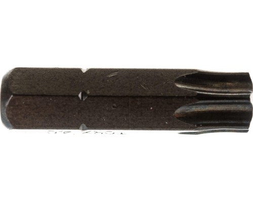 Бита для заворачивания D.BOR TORX 40, 25 мм (арт. d-t40-025-010) (10 шт.) [D06-DT40025010]