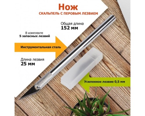Нож для строительных работ REXANT 12-4910 с перовым лезвием 5 лезвий (скальпель) Нож для строительных работ REXANT 12-4910 с перовым лезвием 5 лезвий (скальпель)