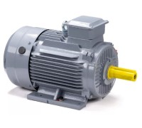 Электродвигатель ESQ PR 160 M4 GST-Б1-S12-IE2  IM 1001 18.5/1500 01.01.223779