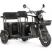 Трицикл WANSHIDA LC300 черный-3075 025552-3075 купить с доставкой и официальной гарантией