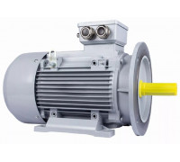 Электродвигатель ESQ PR 132 MA6-SDN-Б1-S12-IE3 IM B3 4/1000 01.05.02.000170
