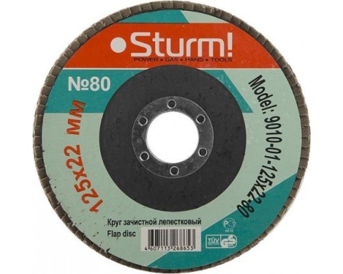 Круг лепестковый STURM 9010-01-125x22-80 125х22, p80