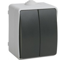 Выключатель двухклавишный IEK Форс ВС20-2-0-ФСр 10А IP54 серый EVS20-K03-10-54-DC