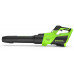Воздуходувка аккумуляторная GREENWORKS GD40BG3 40V, АКБ 4Ач и ЗУ 2408207UB купить с доставкой и официальной гарантией