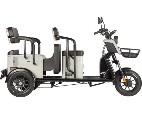 Трицикл WANSHIDA LC300 серый-3077 025552-3077 купить с доставкой и официальной гарантией