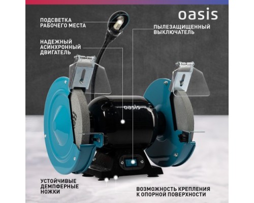 Станок заточной OASIS ZS-40L [4640039483908]