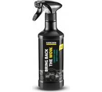 Средство специальное KARCHER RM 652 ухода за приборной панелью 6.296-107.0