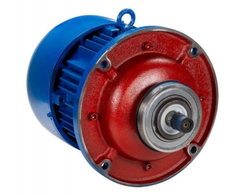 Двигатель подъема тали ESQ RW 5 т (ZD1 41-4)