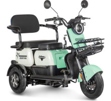 Трицикл GELBERT Vega 48V/60V зеленый-3065 025541-3065