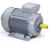 Электродвигатель ESQ PR 180 L4-SDN-Б1-S12-IE3 IM B3 22/1500 01.05.02.000087