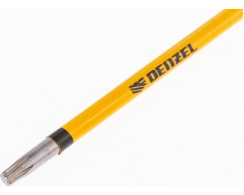 Набор бит DENZEL T15x4 Набор бит DENZEL T15x4