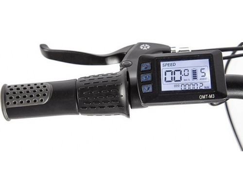 Мотор-колесо SKN 36V 350W LCD 26