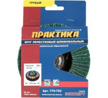 Круг комбинированный абразивный ПРАКТИКА 125 мм М14 грубый 779-752 [779-752]