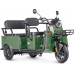 Трицикл WANSHIDA LC-F200 зеленый-3081 025558-3081 купить с доставкой и официальной гарантией
