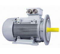 Электродвигатель ESQ PR 132 SA2-SDN-Б1-S12-IE3 IM B35 5.5/3000 01.05.02.000147
