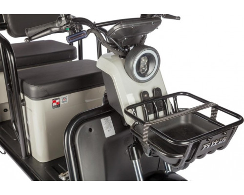 Трицикл WANSHIDA LC300 черный-3075 025552-3075 купить с доставкой и официальной гарантией