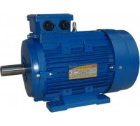 Электродвигатель 5Аи 100 L4 4/1500 IM 1081 01.01.213680