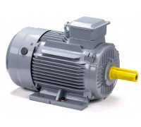 Электродвигатель ESQ PR 160 M2 GST-Б1-S12-IE2 IM 1001 18.5/3000 01.01.223777