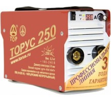 Сварочный инвертор Торус 250 + комплектом проводов 95566022