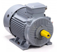 Электродвигатель ESQ PR 200 L6 GST-Б1-S12-IE2 IM 1001 30/1000 01.01.223792