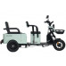 Трицикл WANSHIDA LC-F150 зеленый-3078 025555-3078 купить с доставкой и официальной гарантией