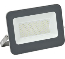 Прожектор IEK СДО 07-100 IP65 6500K серый LPDO701-100-K03
