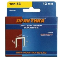 Скоба ПРАКТИКА серия Эксперт, 12 мм, Тип 53 (1000 шт) [775-396]