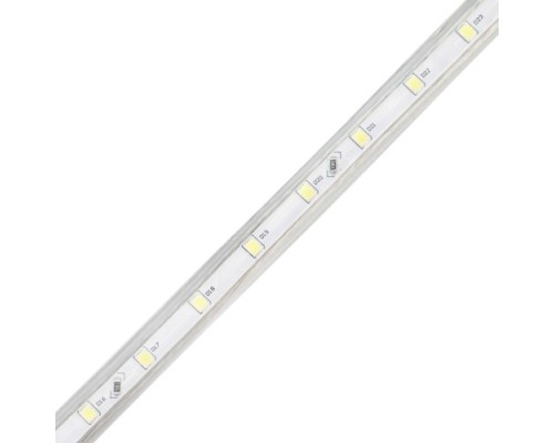 Лента светодиодная Neon-Night 142-605 ( 100 метров ) 220B, SMD2835, 60 LED/м, холодный белый, 10х7мм [142-605]