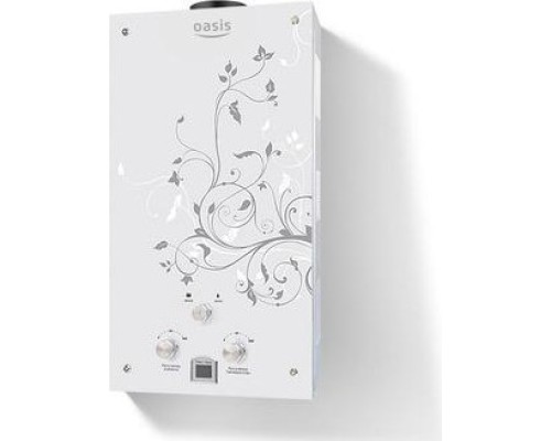 Газовая колонка OASIS Glass 24 ZG [4670004378960]